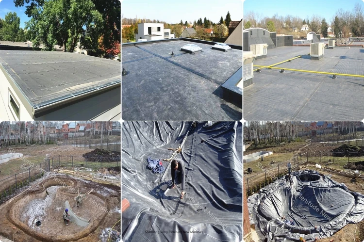 1.EPDM membrane41