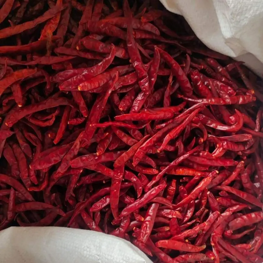 Красный перец чили сушеные специи и травы продукты по самой низкой цене Вьетнам оптом горячий пряный экспорт
