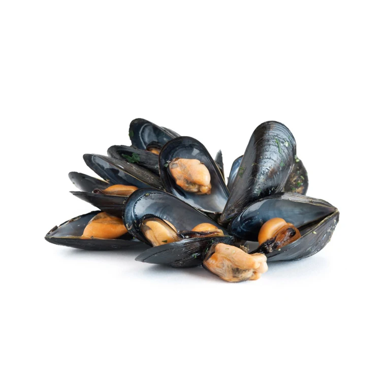 High Quality Import Shellfish Mussels Blue Mussels Meat Frozen Half Shell Mussel Cheap price