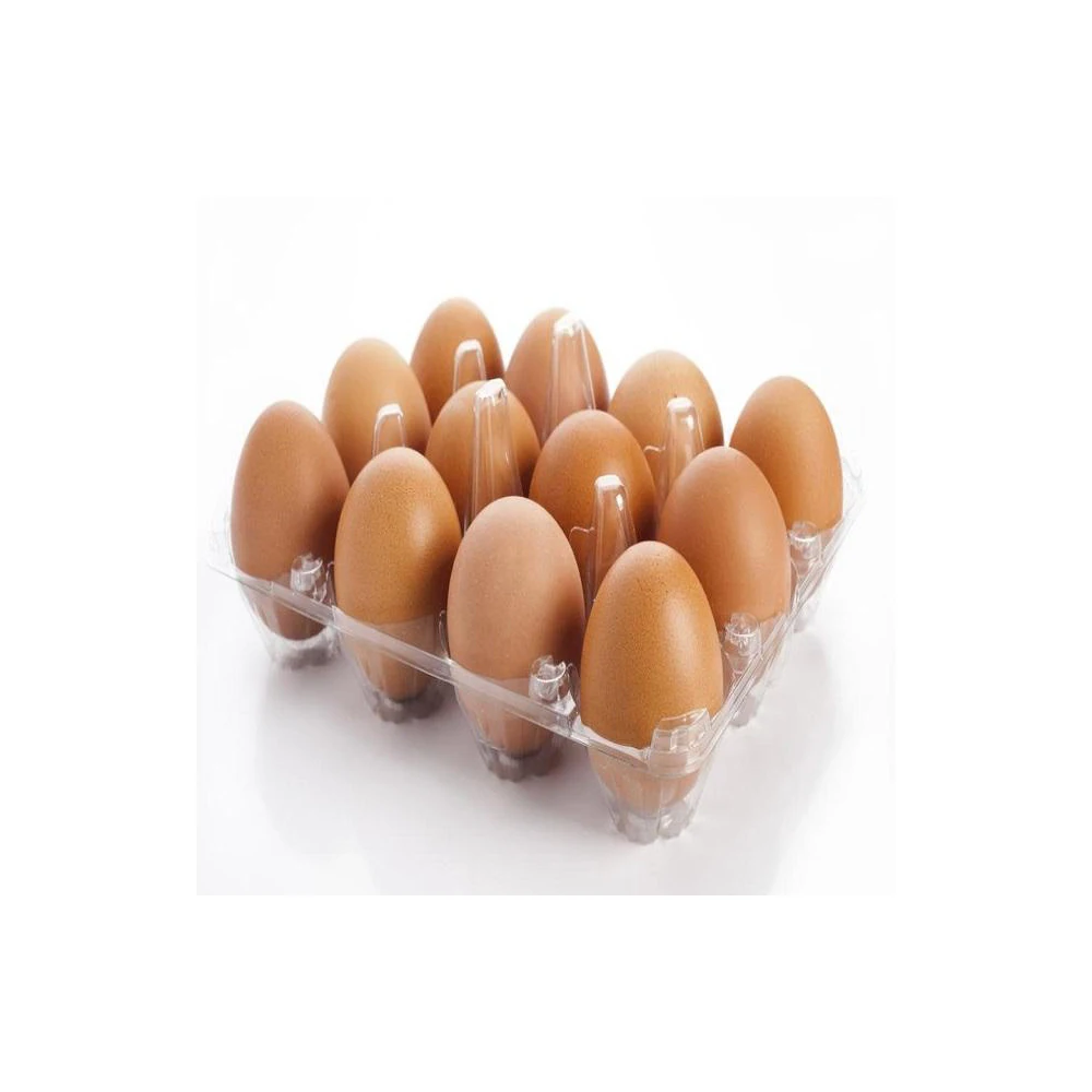 Лидер продаж прямая цена от производителя свежее качество 2023 Новое поступление куриные столовые