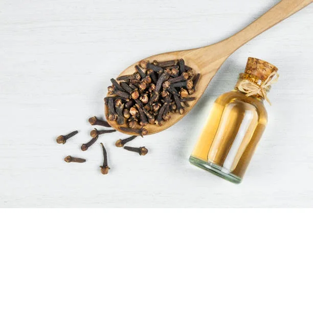 Clove Essential Oil  at Wholesale Price From India