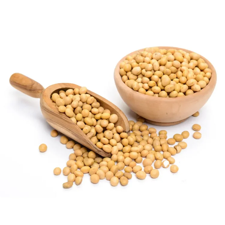 New Stock Arrival Best Quality Food Grade Natural and Non-GMO Soybean Seeds Available for Sale