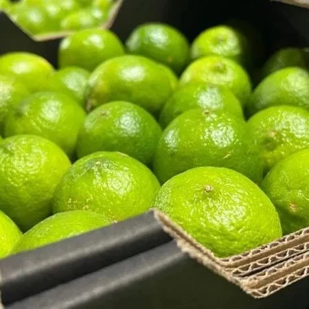 Fresh Seedless Lime from Vietnam / Cheap Price Lime and lemon /Wholesale Green Lime and lemon