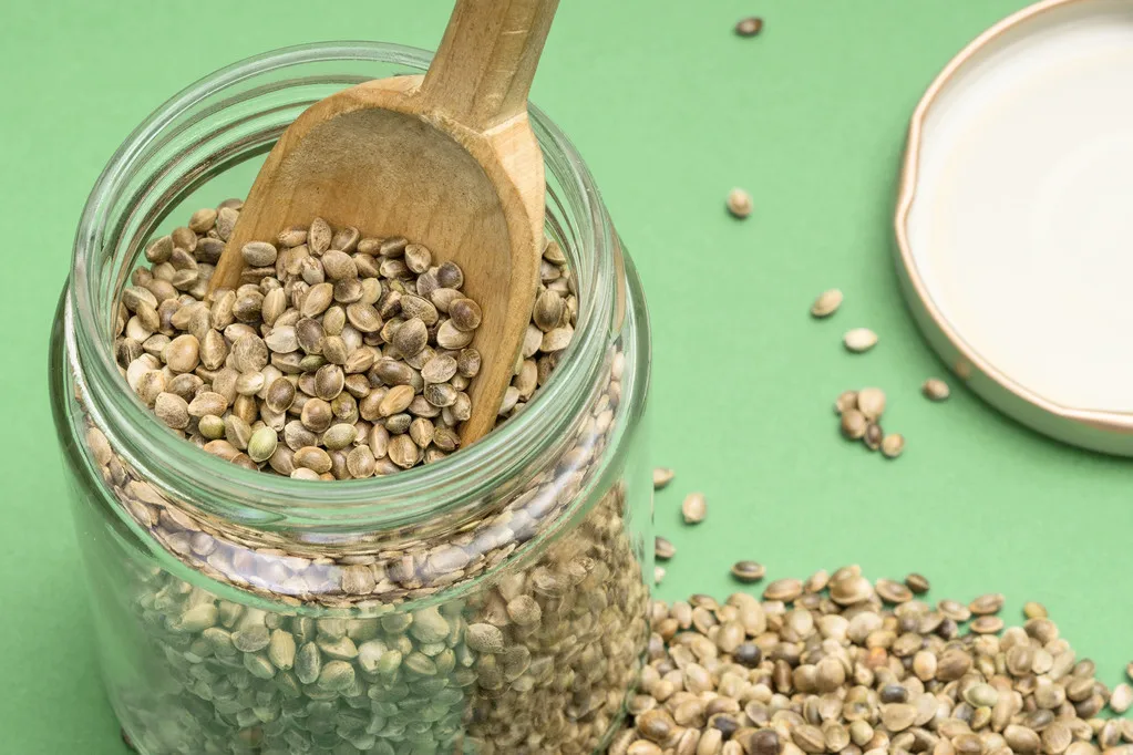 Hemp seeds- (Hemp Seeds for Eating | Salad Topping | Roasted)