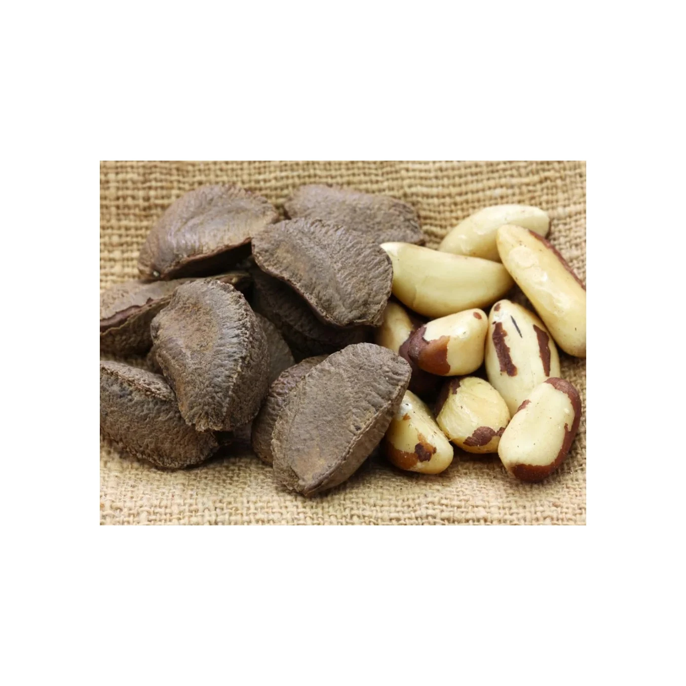 Brazil nut kernels - Tiny size grade above 180 nuts per pound - Shelled Brazil nut kernels