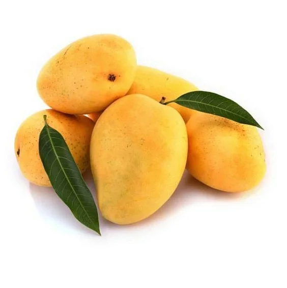 Top Selling Pakistani Fresh Mangoes at Cheap Price