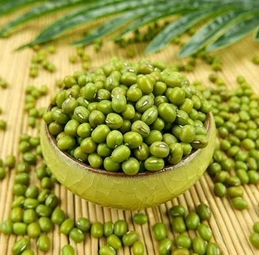 Quality Green Mung Beans Wholesale Splits Green Mung Beans ,High Quality Green Mung Beans For Sprouts Seed Price