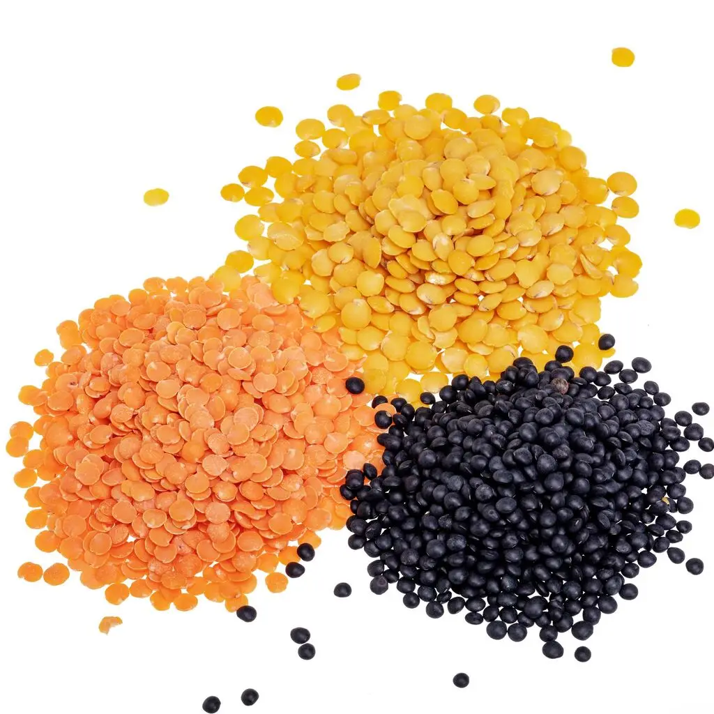 Bulk Dried Red Lentils/Green Lentils/Brown Lentils for food