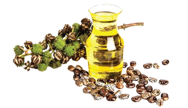 Lowest Prices 100% Pure Organic Castor Oil For Multi Purpose Usable Oil Top Grade Manufacture in India By Exporters