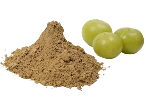 100% Pure Amla Fruit Powder Skin Hair Multi-Type Uses Moisturizing Hair Conditioner Manufactured India Low Prices-Wholesale Sale