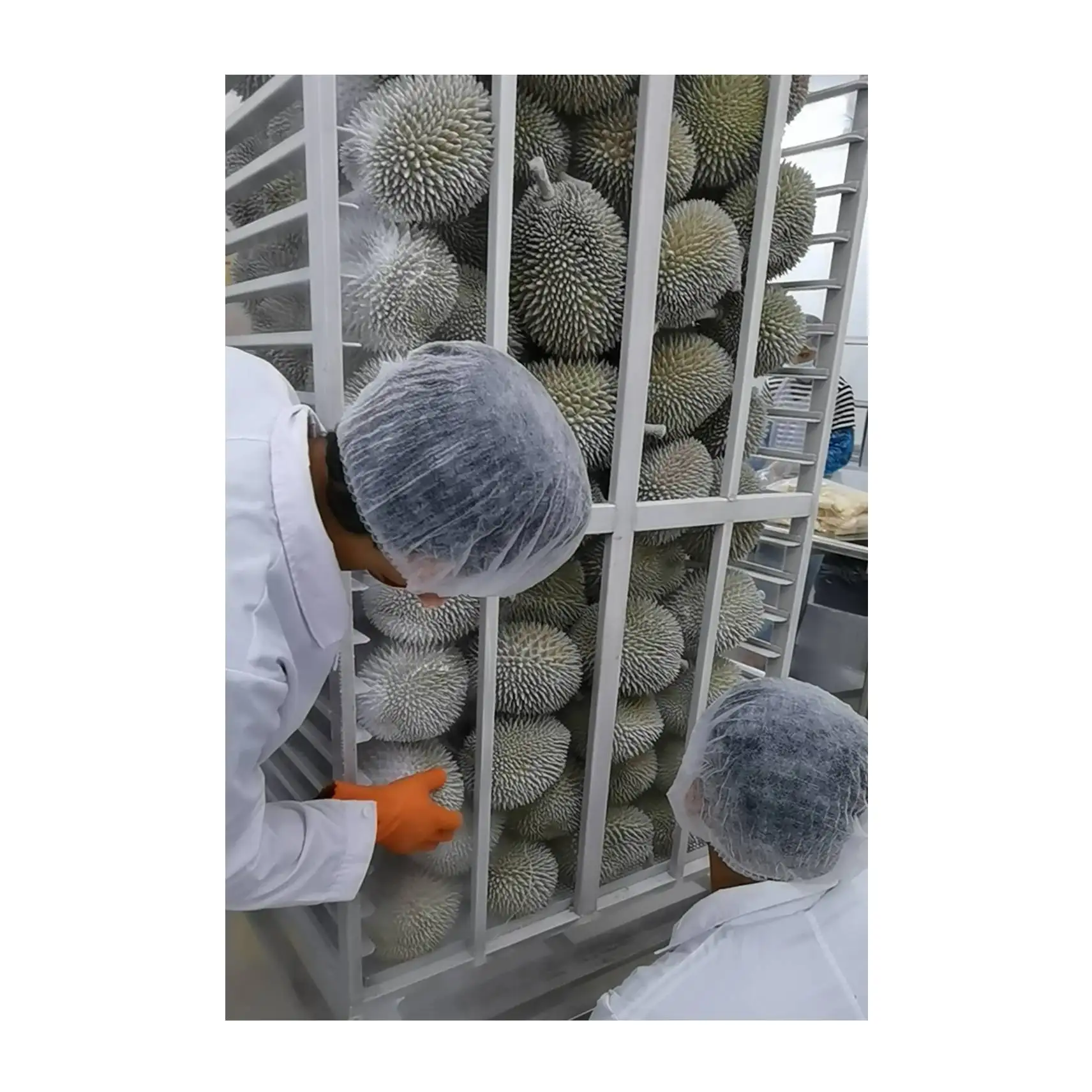 Top Selling High Quality Premium Grade Fruit Malaysia 2.2kg Weight Frozen Fresh Durian Long Shelf Life Fruit Netting Packaging