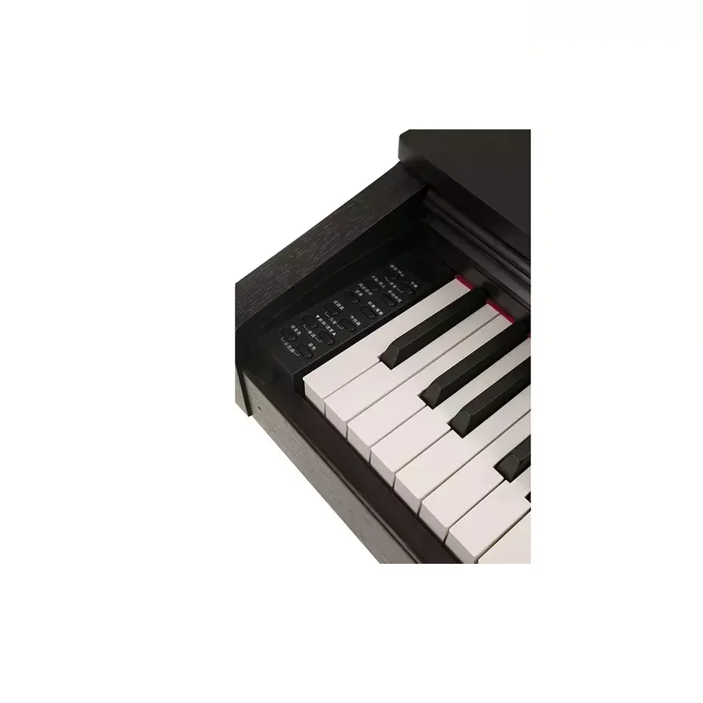 Top Singapore Wholesale Multilayered Color 88 Scaled Key TMW 520 Best Quality Musical Instrument Digital Piano for Beginner