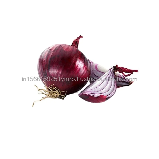 Quality Fresh Red Onion/Fresh Yellow onion For Export At Cheap Price