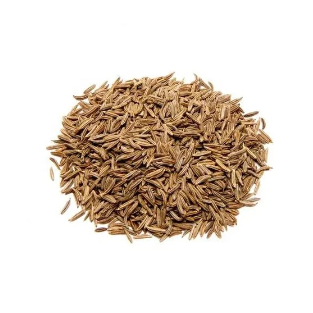 Buy CARAWAY HYDROSOL at Wholesale price  from india famous and largest manufacture kanha nature oils