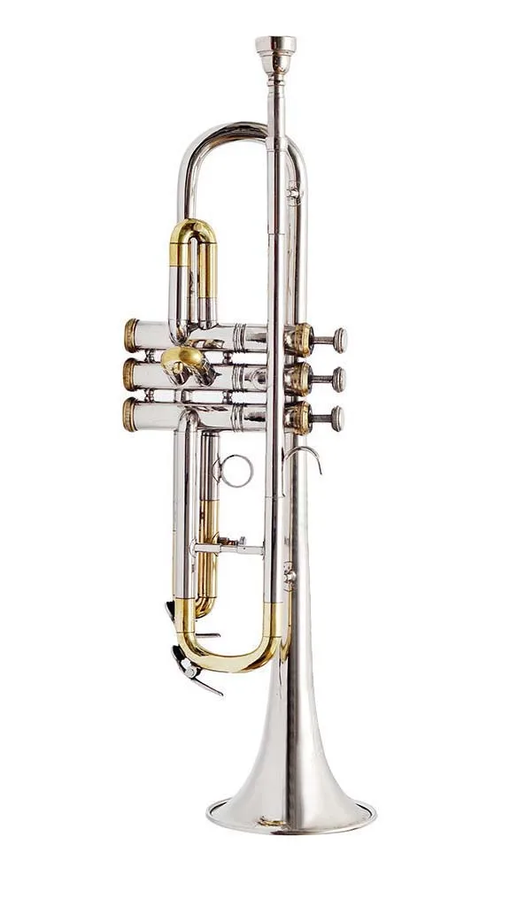 Good Quality Famous Trumpet Inexpensive Trumpet Style Factory Price Trumpet at Best Price from Indian Expoter