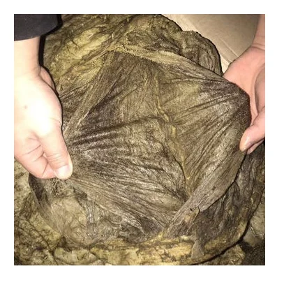 Dry Salted Beef Omasum and Buffalo Offals / Halal Beef Omasum/ Dried Salted Beef
