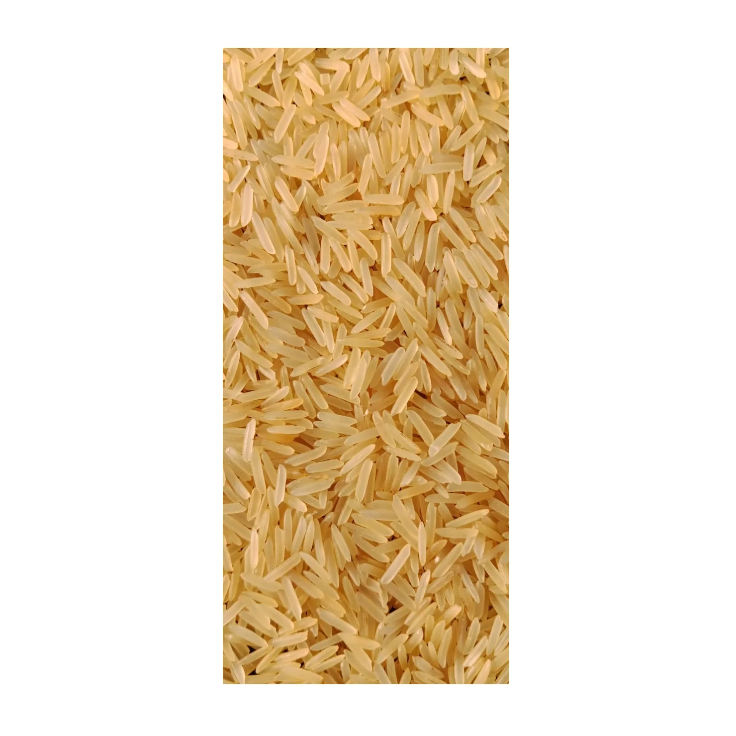 Direct Factory Supply Long Grain Golden Sella Basmati Rice 1121 Basmati Rice for Making Biryani and Pulao use