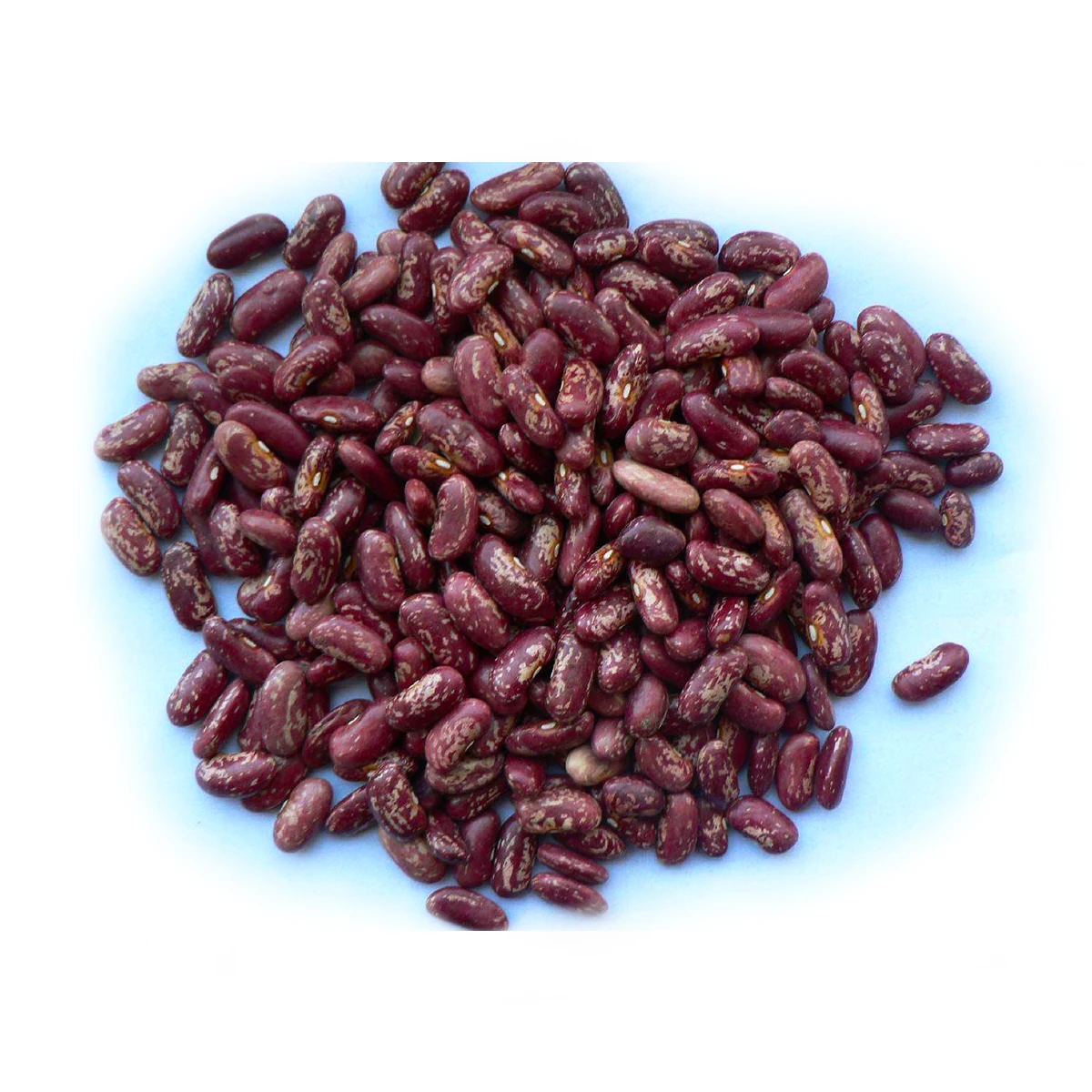 Высококачественные Натуральные бобы Pinto Red Beans из Узбекистана без ГМО, сушеные красные зернистые фасоли для еды