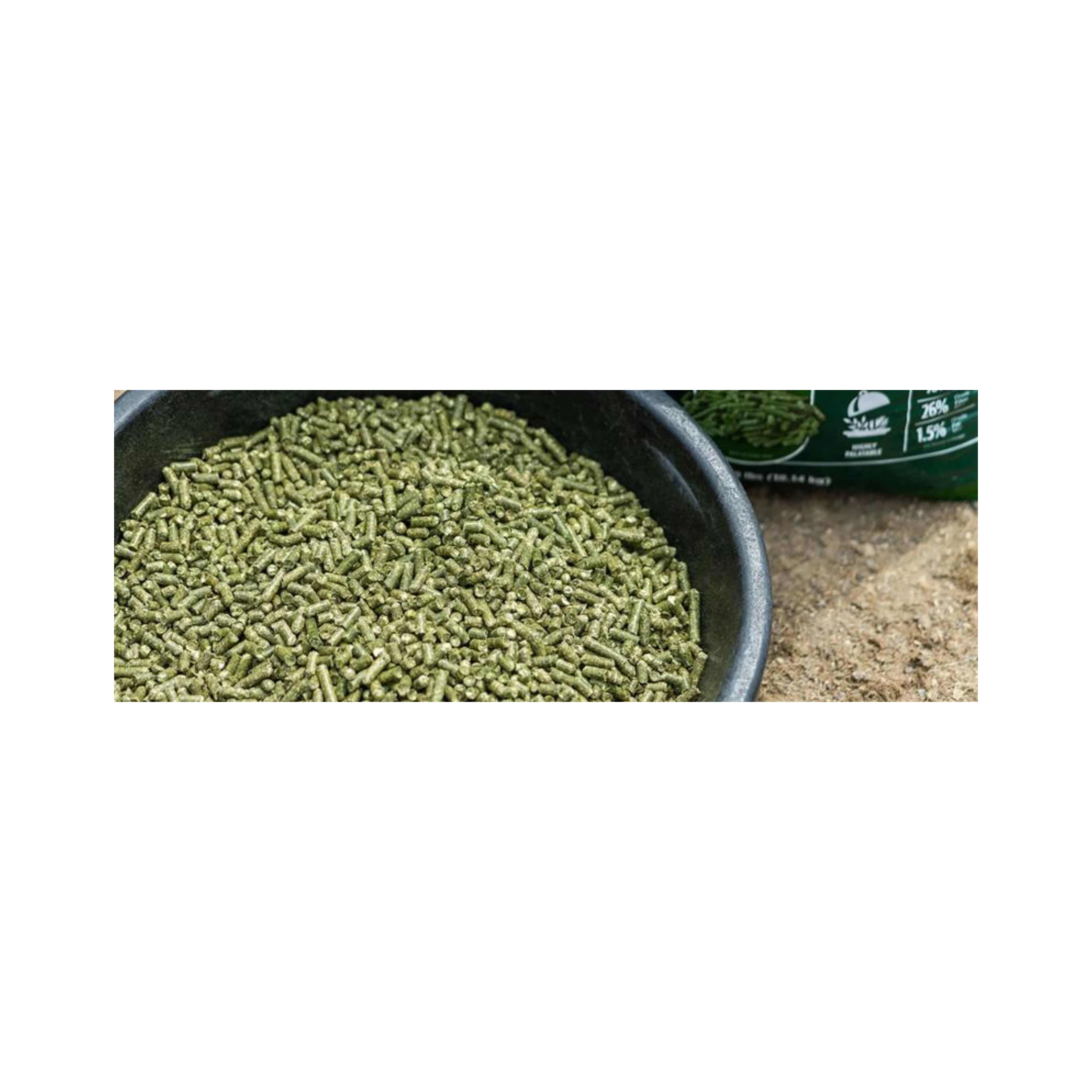 good quality Alfafa pellets and cubes very cheap price