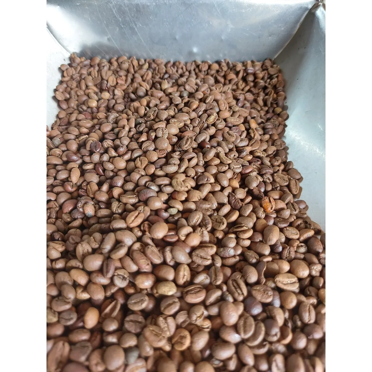Factory Price Products Robusta S14 Roasted Carpentry Coffee Beans  Roasted   High Quality Roasted Beans