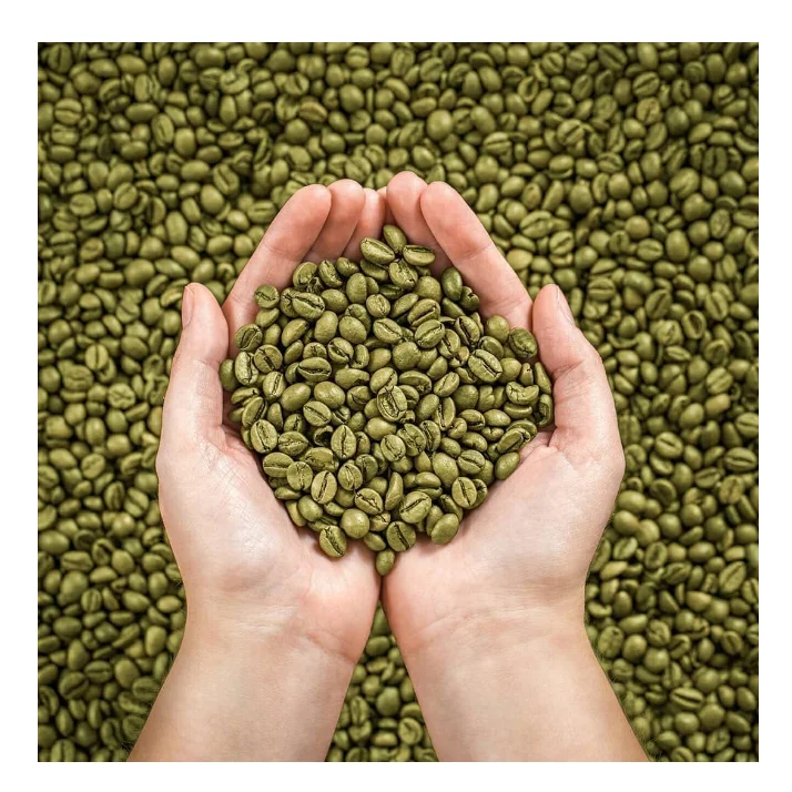 100% Export High Quality The Best Price Of Raw Green Coffee Beans Factory Supply Indonesian Green Coffee Beans Wholesale Price