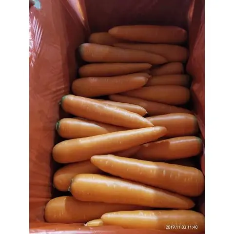 Fresh Vegetables Supplier Fresh Carrots Best Price Carrots New Crop Red Carrots