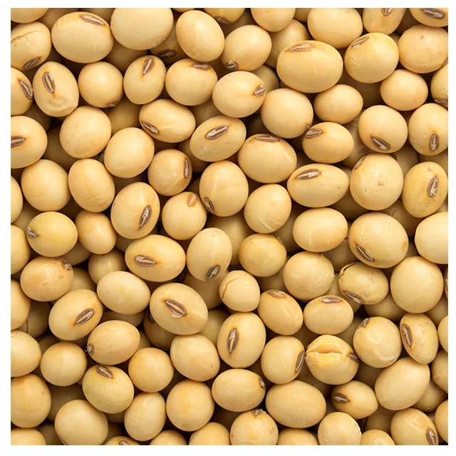Соевые бобы NON-GMO соевые высокого качества