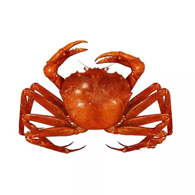 Factory Price New Arrival Wild Caught Frozen Alaskan King Crab King Crab In USA Style Packaging Weight Muscle Red King Crab