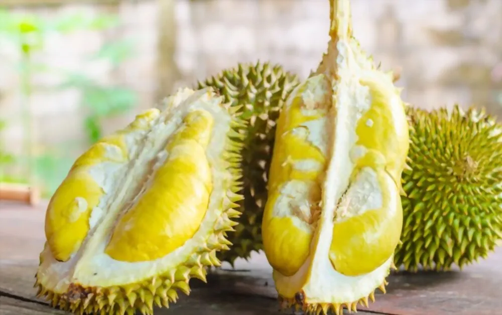 100% High Quality Fresh Delicious Vietnam Durian and Feeeze Durian