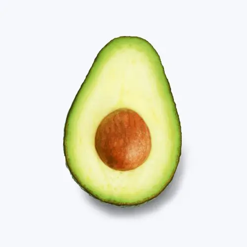 Quality Fresh avocado Fast Shipping with carton high quality avocado/Fresh Avocado for sale