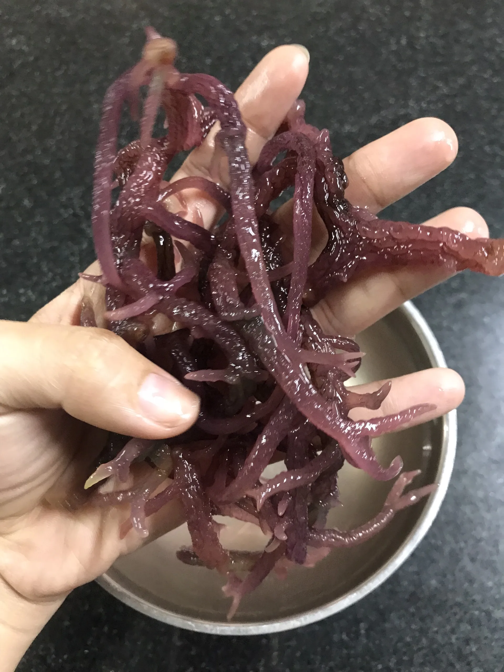Морской мох-источник питания из океана