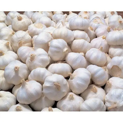 4.5cm 5.0cm 5.5cm 6.0cm Pure White Garlic / Fast delivery from Europe
