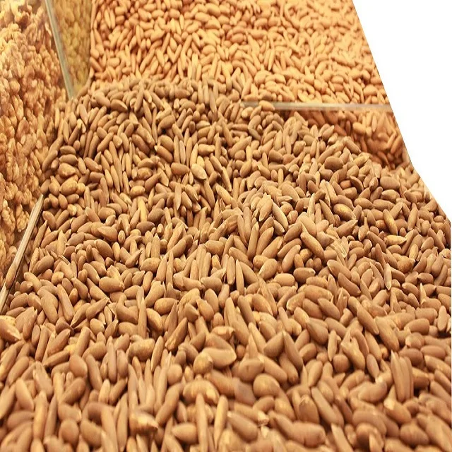Fresh Organic Himalayan Pine Nuts Chilgoza with Soft Shell 100% Natural & Wild bulk wholesale prices customized packing