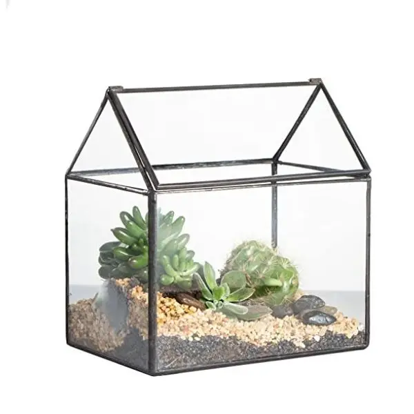 Industrial Design Simple Square Glass Vase Hydroponic Indoor Succulent Green Plant Pot Home Use Planting Basin