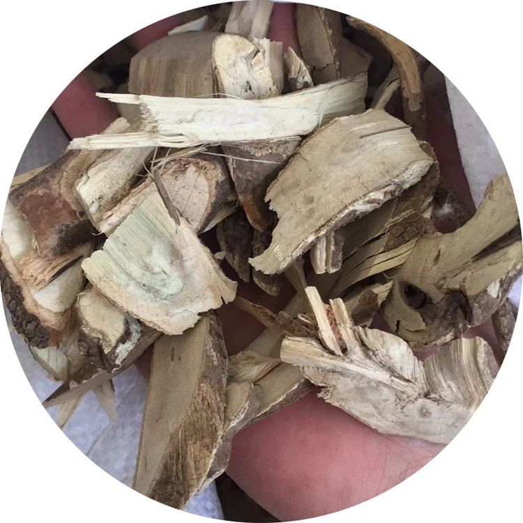 Traditional  herbal medicine  Eleutherococcus senticosus Siberian ginseng root  Manyprinckle Acanthopanax. root
