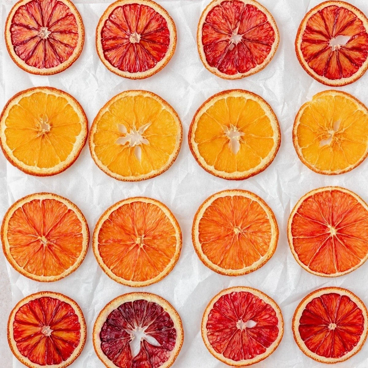 New season Supplier High quality Dehydrated Oranges Dried Orange Slices for Drink from Vietnam