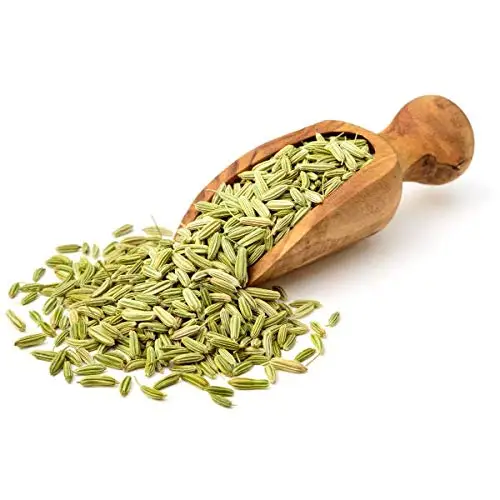 Direct Factory Price Natural Green Fennel Indian Single Spices & Herbs Buy From Indian Manufacturer at Best Rate