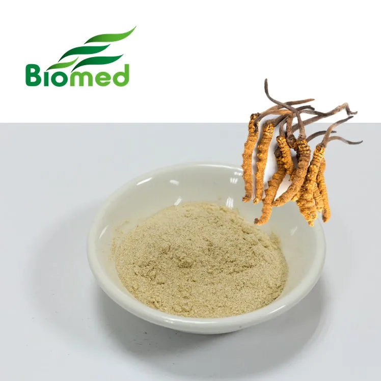 Natural cordycepin golden cordyceps sinensis extracts ingredient