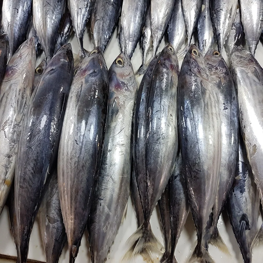 Купить хорошее качество Свежезамороженная Рыба морепродукты для продажи/Премиум замороженная рыба приготовления и рецепты