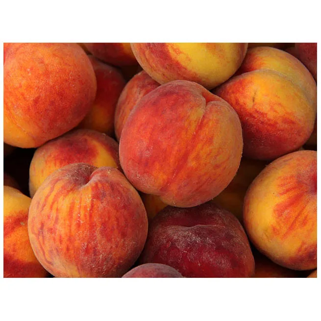 Selling Peaches Top Quality fresh fruit for Export Factory Sell Sweet Juicy Stone Fruit 100% Maturity Class A Natural Fresh