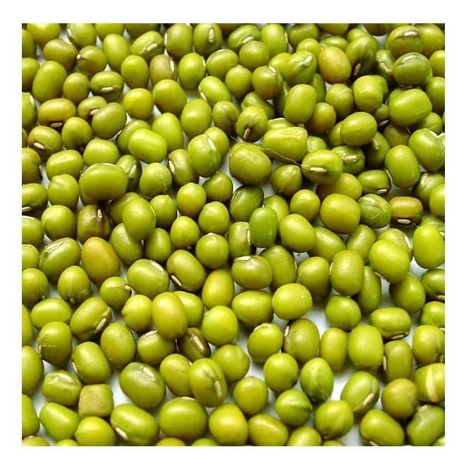 100% Pure Natural Quality Green Mung Beans / Whole Moong Beans At Best Wholesale Pricing