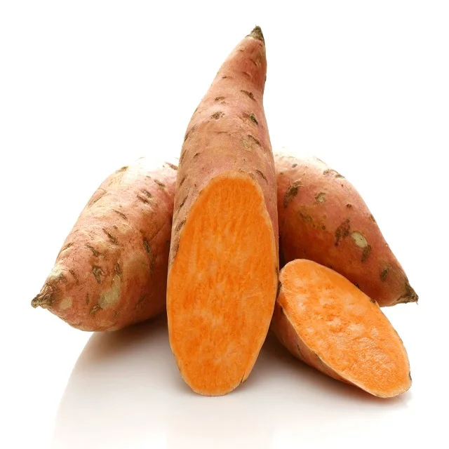 New crop fresh sweet potato wholesale price