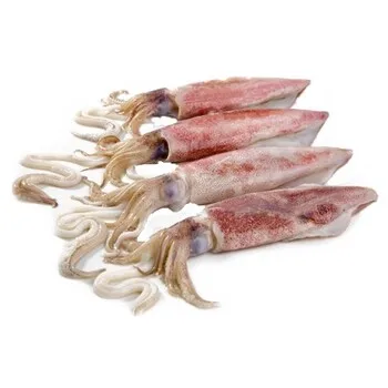 calamari squid ring frozen squid calamari(squid) rings