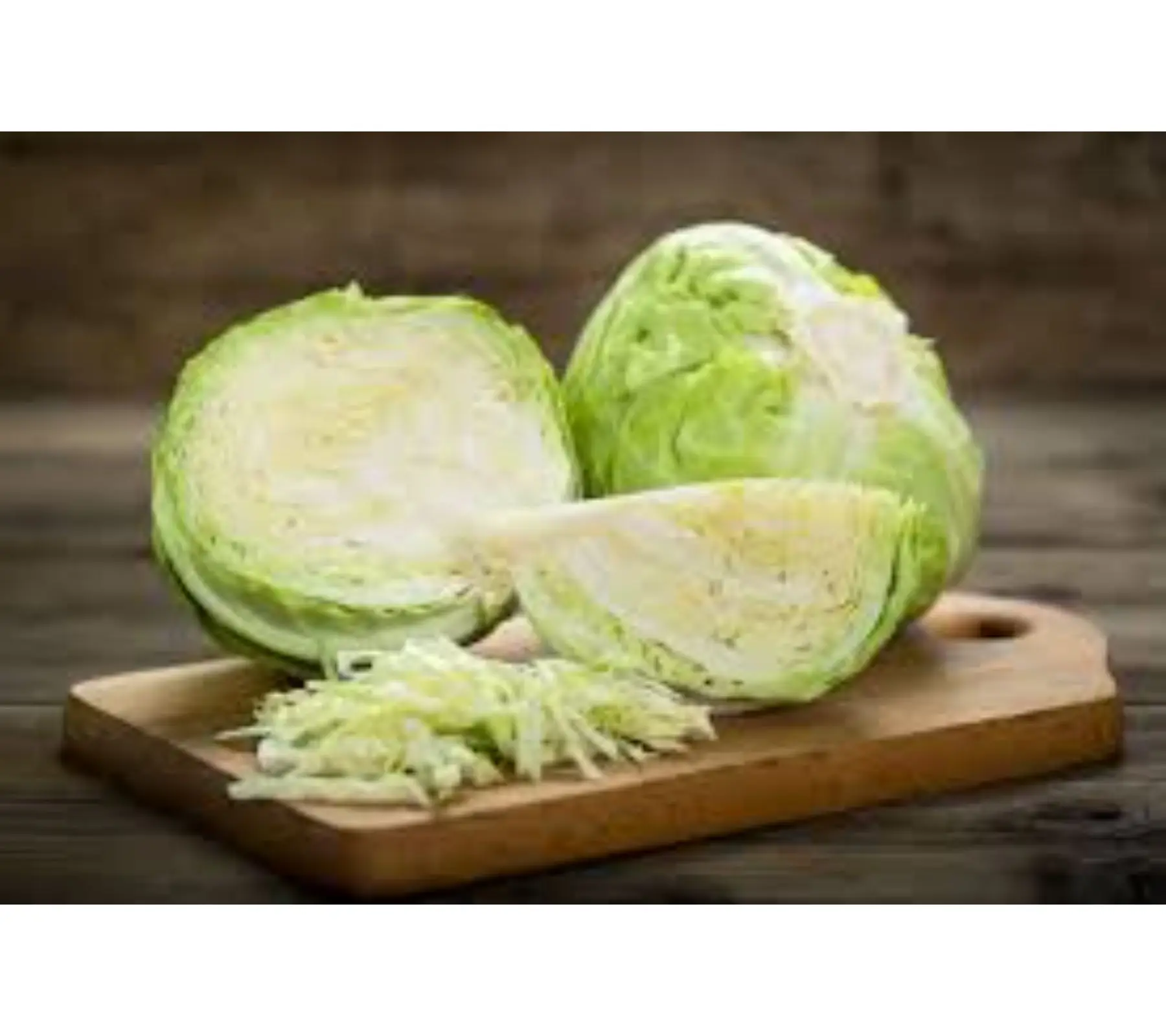 fresh vegetable cabbage Hybrid Copenhagen verity Op Copenhagen export open pollinated verity exporter company India