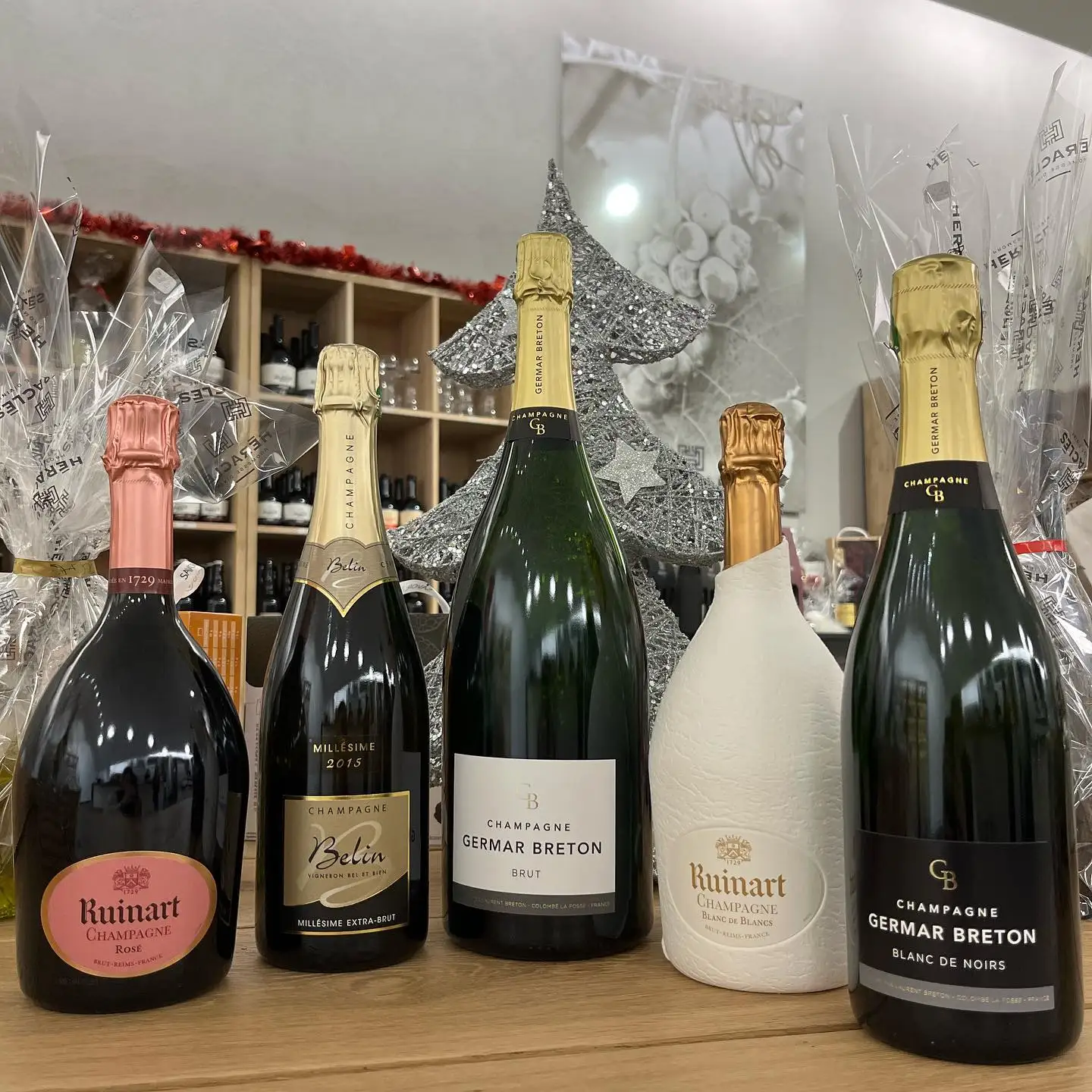 DISCOUNTS REMMY MARTINS