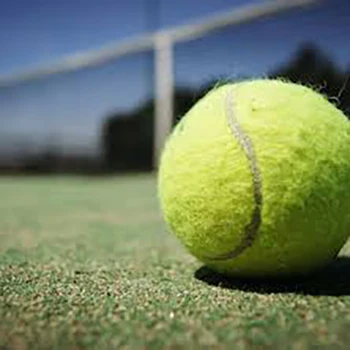 High Quality Padel ball manufacture paddle Racing ball with Professional use
