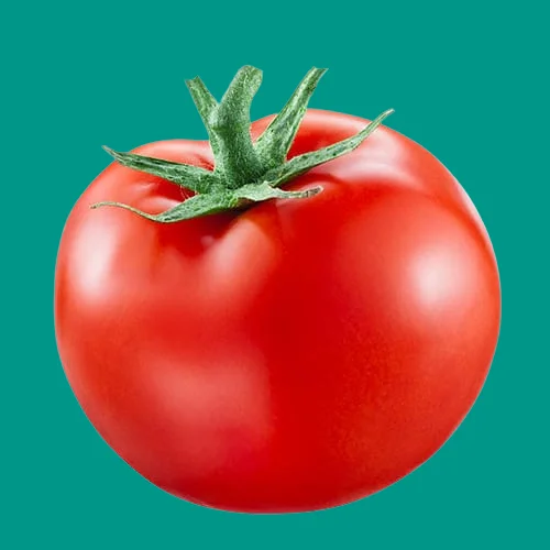 Fresh tomatoes