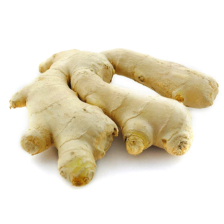 new crop of fresh ginger and garlic