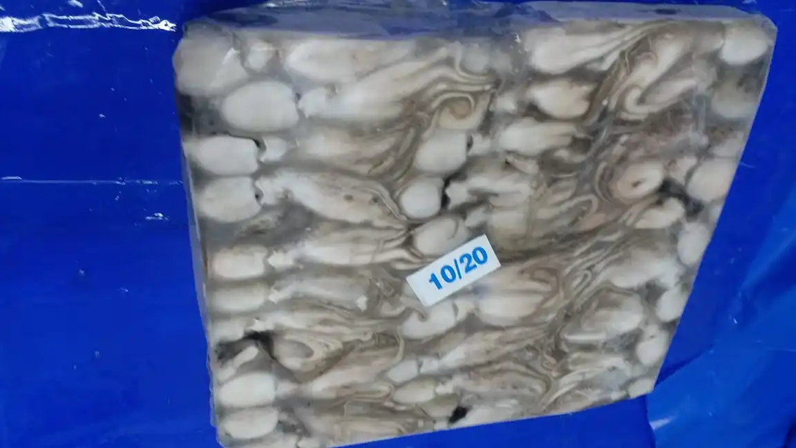 Indian Factory High Quality Good Price Frozen Whole  and  Cleaned  Octopus  Wholesale