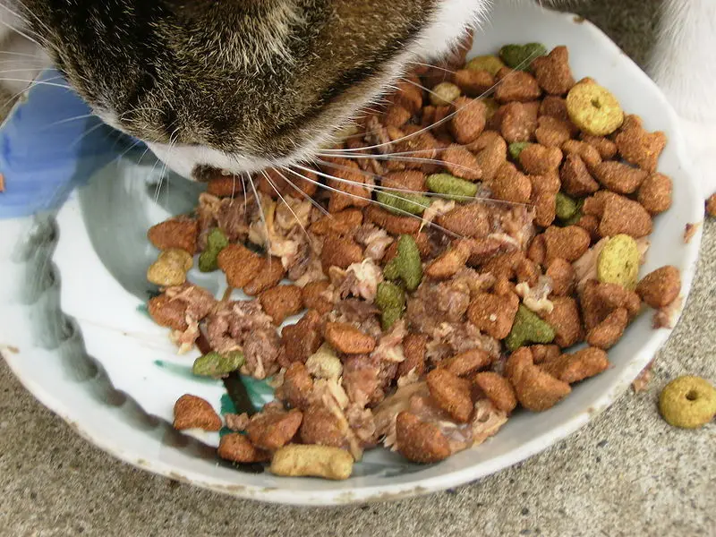 Wholesale Halal Pet Food Dry Cat Dog Food Supplements, Halal Pet Food, Bulk Dry Halal Cat Food Halal Supplements Halal Dog Food